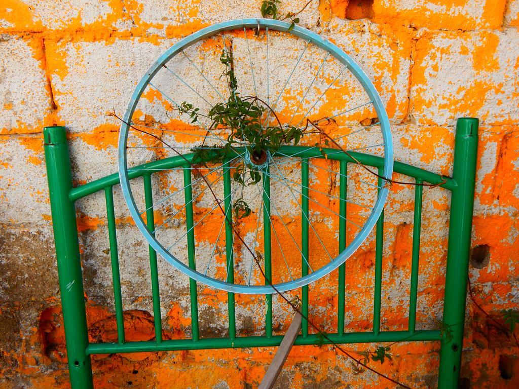 Street Garden Hostel Vina del Mar Esterno foto
