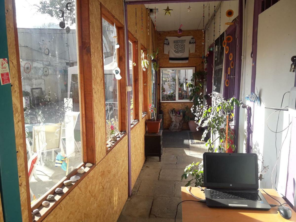 Street Garden Hostel Vina del Mar Esterno foto